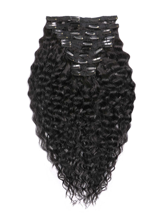 Seamless Curly Clip-ins